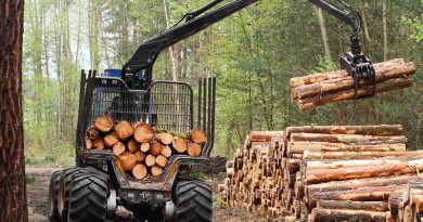 Holz, Holzwirtschaft & Holzenergie.