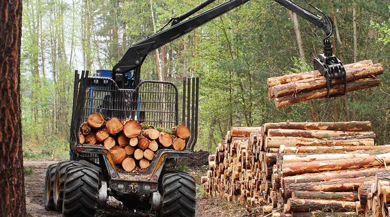 Holz, Holzwirtschaft & Holzenergie.