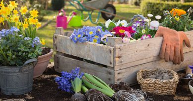 Gartenarbeit, Blumen und Erde.