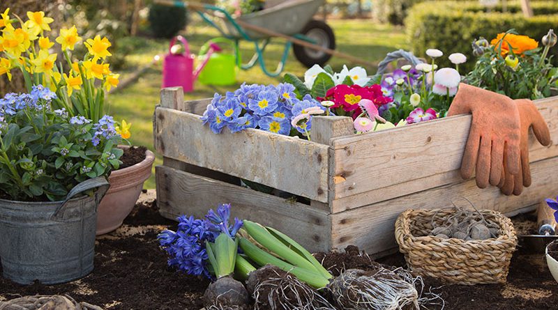 Gartenarbeit, Blumen und Erde.