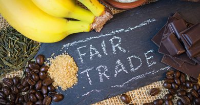 Faires Wirtschaften und ethischer Handel - Gesellschaftliche Verantwortung im Bereich fair trade.