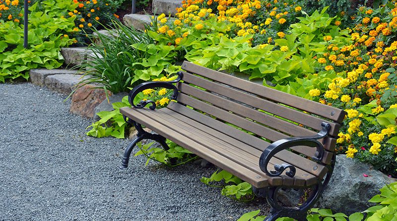 Garten- und Landschaftsbau, Baumpflege.