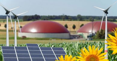 Informationen zur Energieversorgung für den Bereich Biogas-, Erdgasanlagen und Blockheizkraftwerken mit innovativen Energien wie Holzpellets oder Holzhackschnitzel gibts auf der EnergyDecentral Hannover.