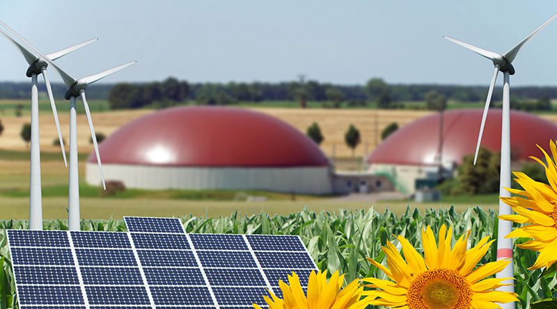 Informationen zur Energieversorgung für den Bereich Biogas-, Erdgasanlagen und Blockheizkraftwerken mit innovativen Energien wie Holzpellets oder Holzhackschnitzel gibts auf der EnergyDecentral Hannover.