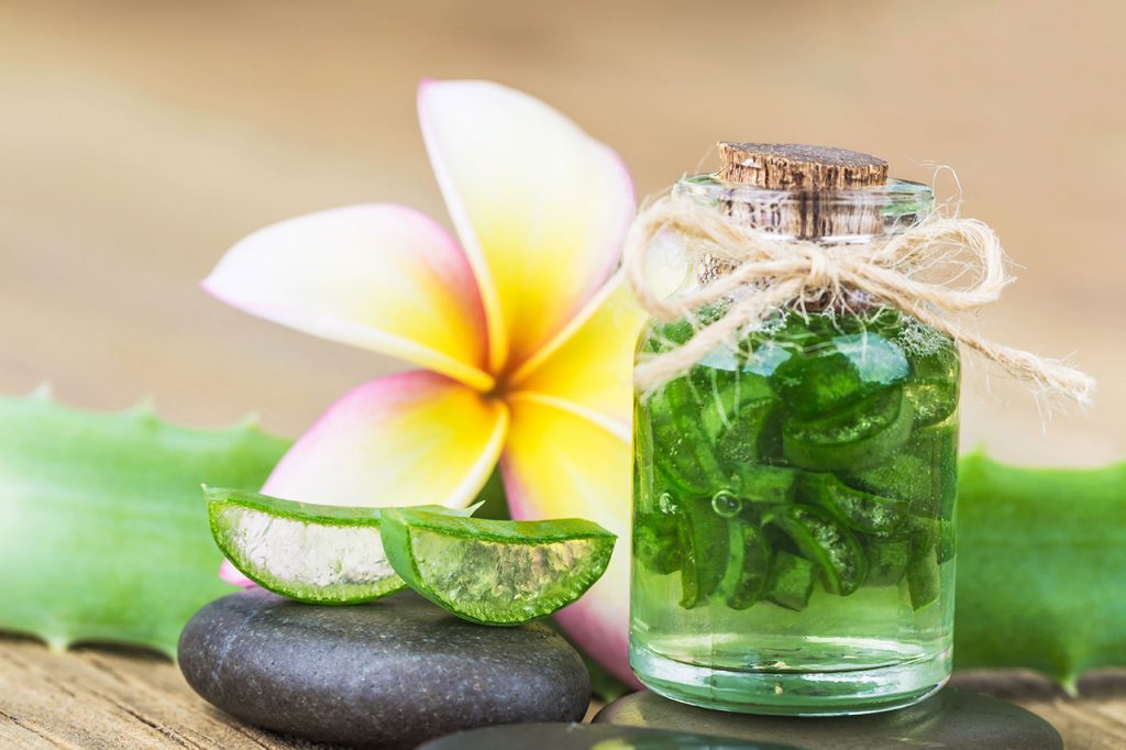 Aloe Vera - Beauty, Naturkosmetik und Schönheitspflege.