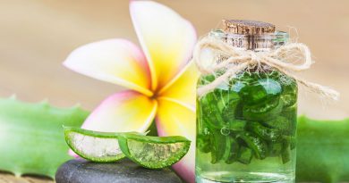 Aloe Vera - Beauty, Naturkosmetik und Schönheitspflege.