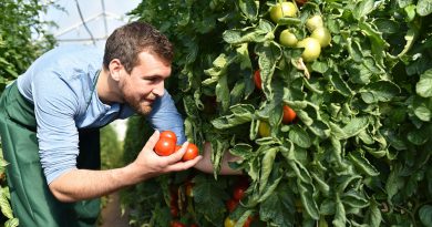 Ernährung, Landwirtschaft und Gartenbau auf der Internationalen Grünen Woche.