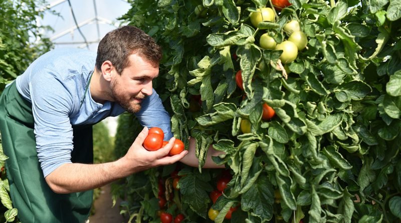 Ernährung, Landwirtschaft und Gartenbau auf der Internationalen Grünen Woche.