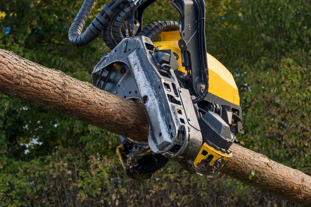Holzbearbeitungsmaschinen in der Forst- und Holzwirtschaft.