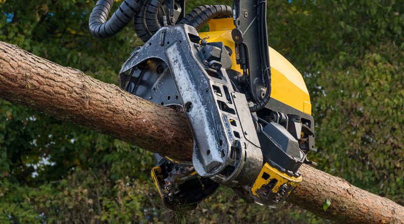 Holzbearbeitungsmaschinen in der Forst- und Holzwirtschaft.