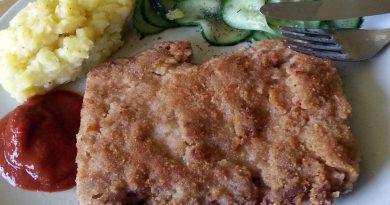 Schnitzel aus Sojabohnen, Kartoffelsalat, Gurkensalat und Ketchup.