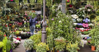 IPM ESSEN - Weltleitmesse des Gartenbaus