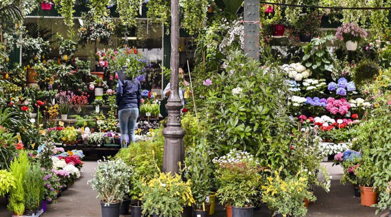 IPM ESSEN - Weltleitmesse des Gartenbaus