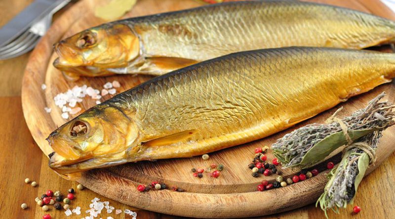 fish international Bremen 2022