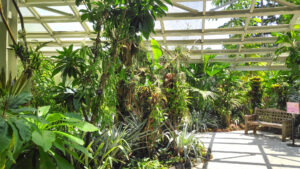 HAUSGARTENFREIZEIT Messe Leipzig 2025 • doopin