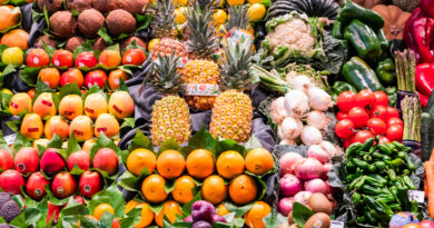 FRUIT LOGISTICA 2026 Messe Berlin