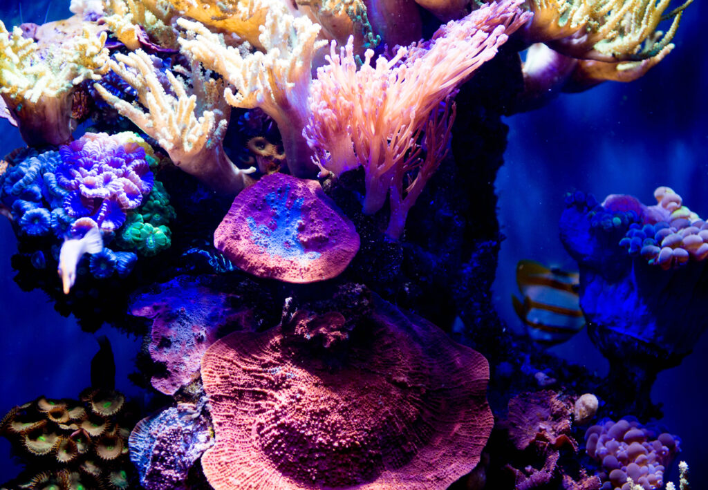 TOURISMA Caravaning 2026 Messe Magdeburg