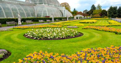 Grüne Tage Thüringen 2026 Messe Erfurt