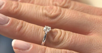 HOCHZEITSTAGE 2027 Messe Hannover