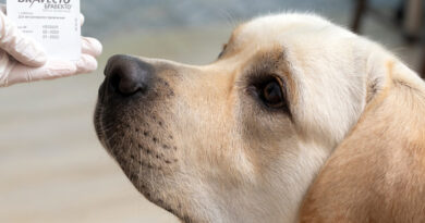 VetMed 2027 Messe Stuttgart