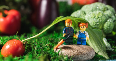 VeggieWorld 2027 Messe Frankfurt