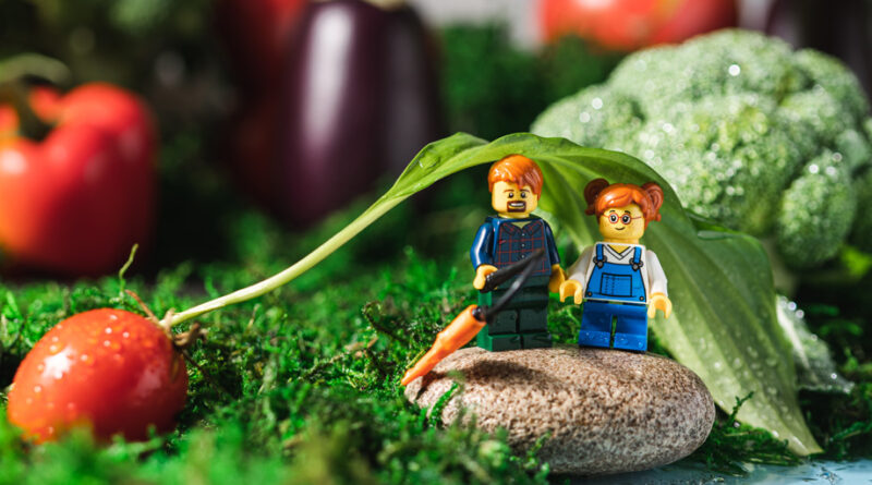 VeggieWorld 2027 Messe Frankfurt