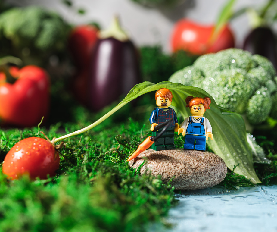VeggieWorld 2027 Messe Frankfurt